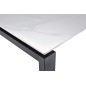 TABLE 'ZEUS' 180 CM RECTANGULAIRE