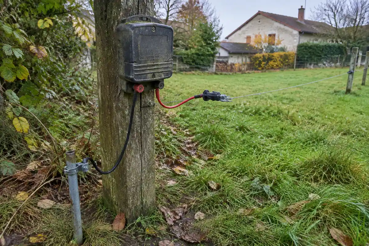 Électrificateur de clôture fixé sur un poteau, un câble vers le fil et un autre vers un piquet de terre galvanisé